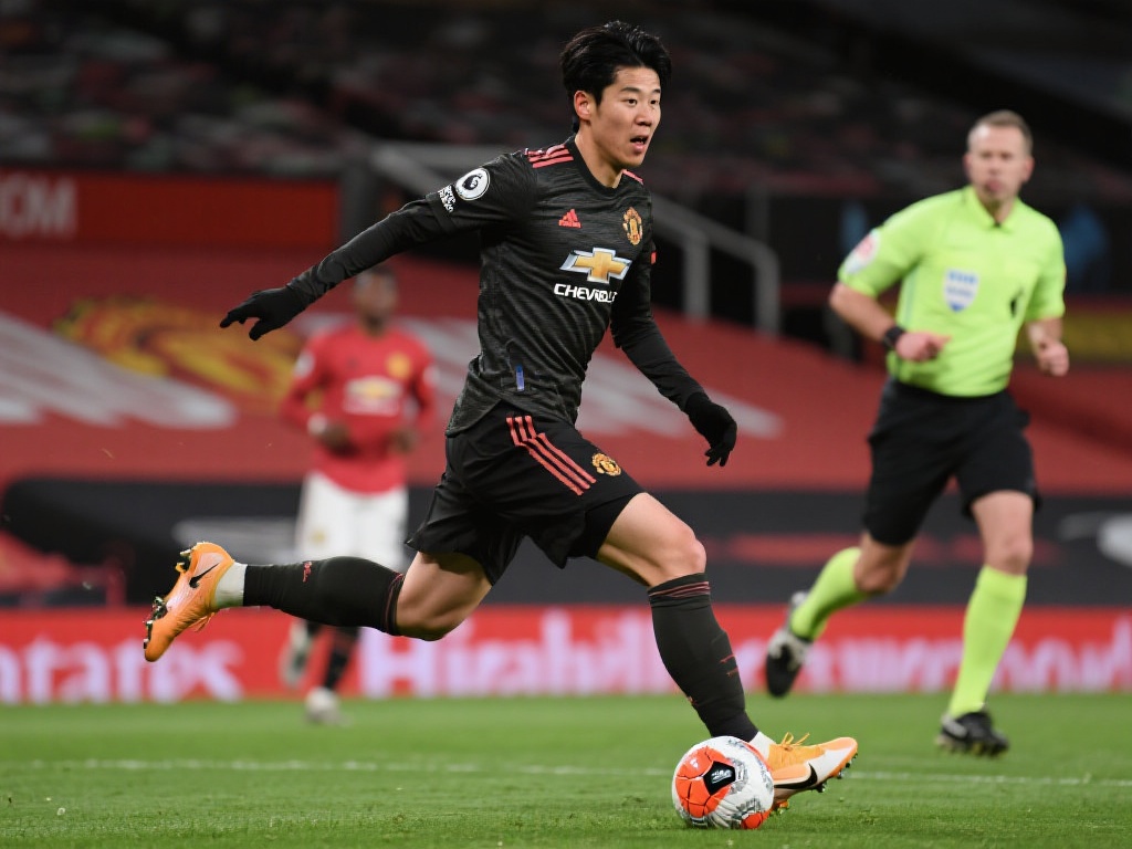 年夏天从狼 年夏天从狼